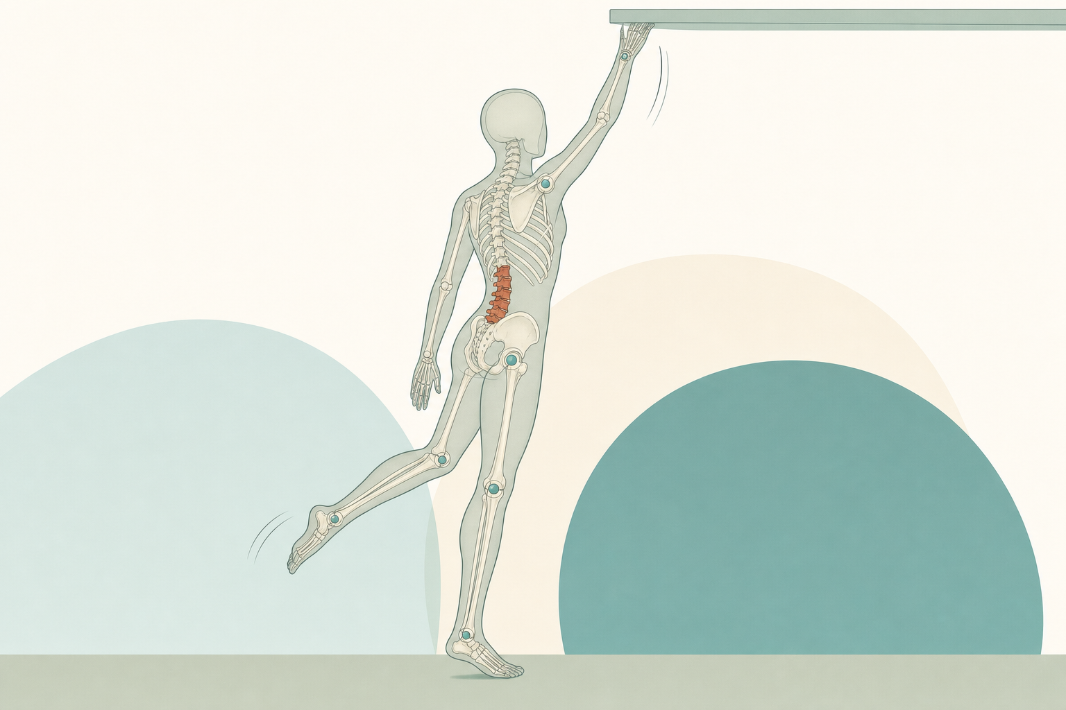 Wissenschaftliche Grafikfigur im Einbeinstand mit gestrecktem Arm zu einem Regalbrett, das Skelett scheint durch, die Lendenwirbelsäule ist terrakottafarben markiert