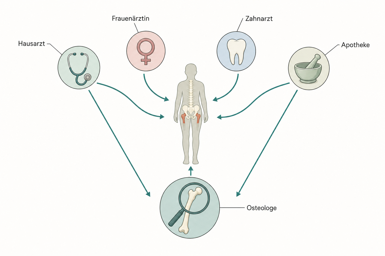 Schema eines Versorgungsnetzes: eine Grafikfigur in der Mitte, darum die Stationen Hausarzt, Frauenärztin, Zahnarzt und Apotheke, von denen Pfeile zur Station Osteologe führen