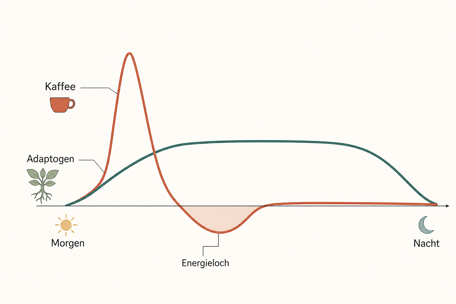 Schema mit zwei Tagesverlaufskurven: Kaffee steigt steil an und fällt in ein Energieloch, das Adaptogen hält ein ruhiges Plateau von Morgen bis Nacht