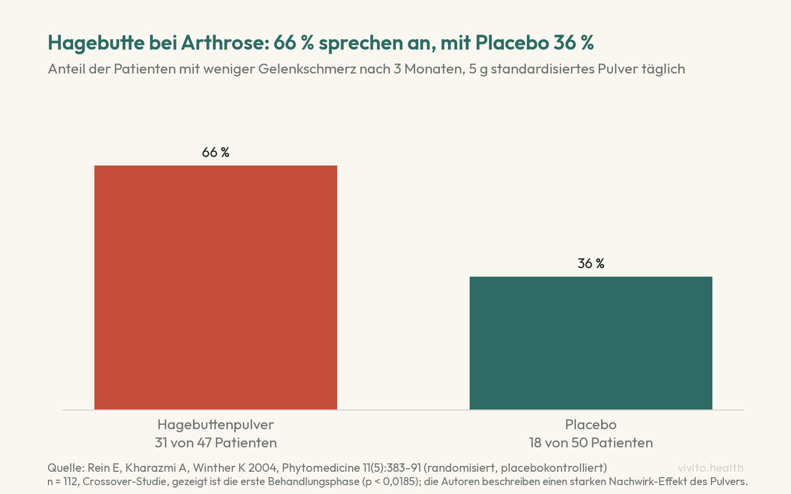 Säulendiagramm einer randomisierten Studie: 66 Prozent der Arthrose-Patienten mit Hagebuttenpulver berichteten nach drei Monaten weniger Schmerz, unter Placebo 36 Prozent