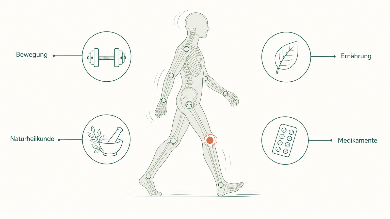 Wissenschaftliche Grafikfigur in Gehbewegung mit markiertem Knie und Piktogrammen der Therapiebausteine Bewegung, Ernährung, Naturheilkunde, Medikamente